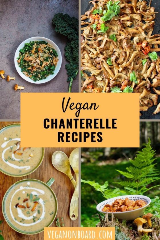 Vegan Chanterelle Recipes to Delight your Tastebuds Vegan on Board