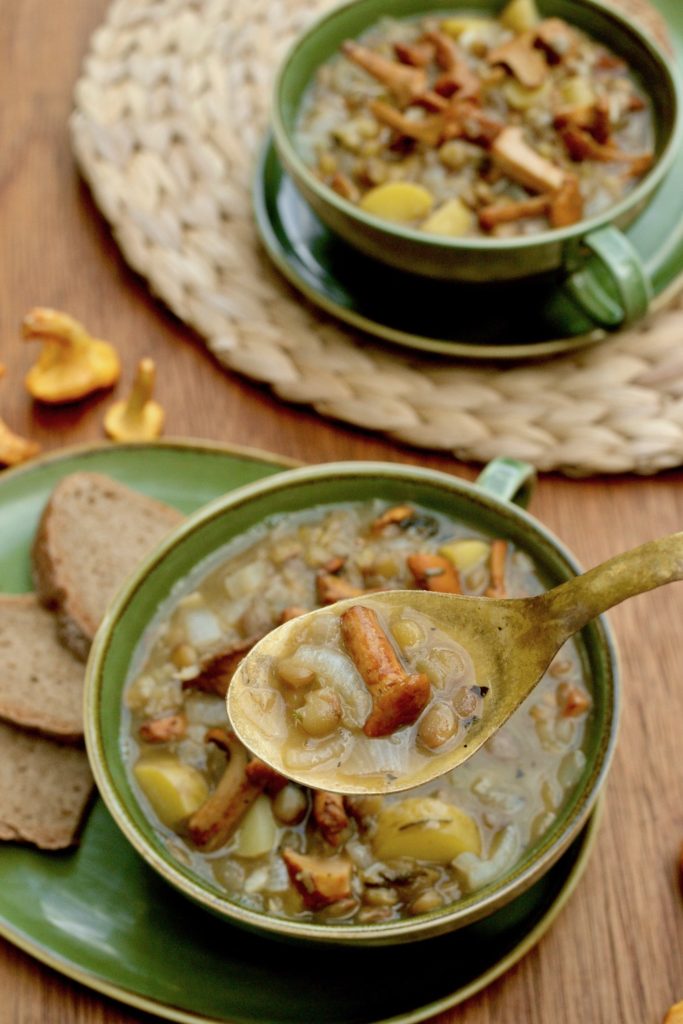 A spoonful of stew stars a very cute tiny chanterelle mushroom