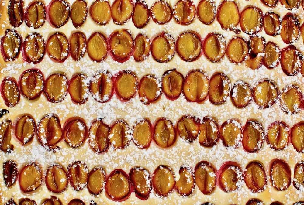 Colourful orange and red plum halves are juicy on the top of a large sheet cake