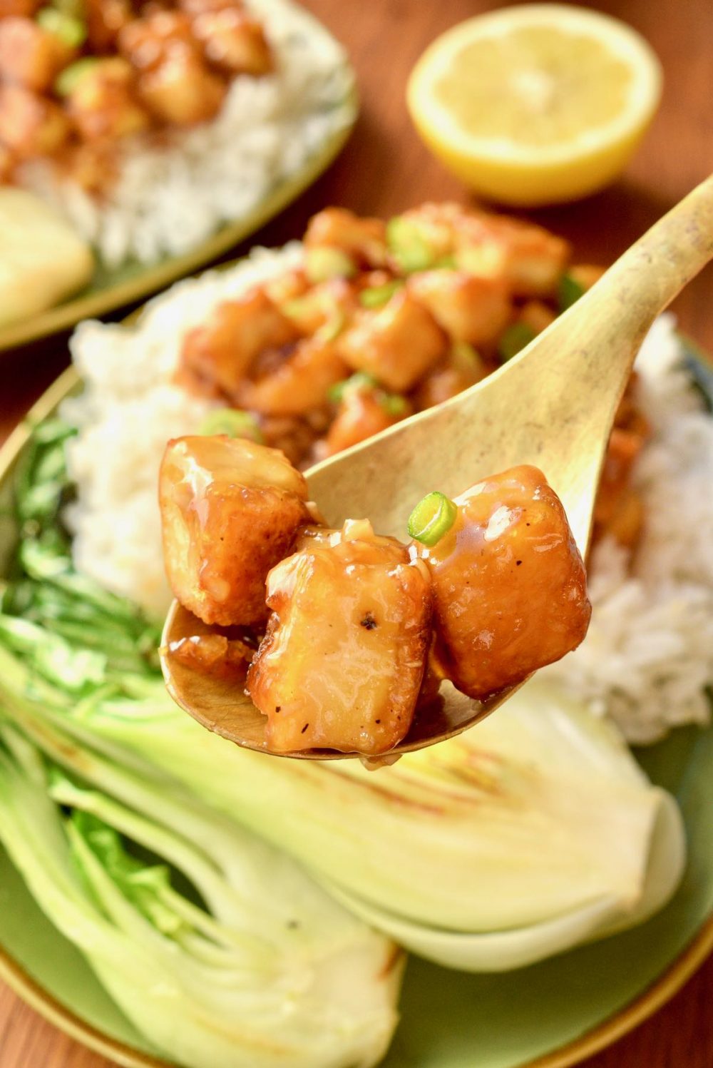Sticky cubes of tofu on a spoon.