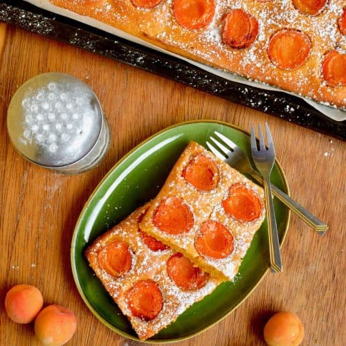 A tray of fresh golden brown cake. The cake is the size and shape of a large baking sheet and rather flat, topped with apricot halves and dusted with icing sugar. Next to it some of the cake served on a green plate and an icing sugar dispenser.