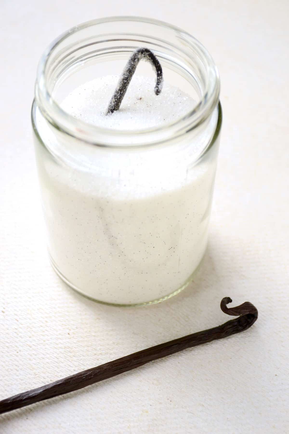 A jar of homemade vanilla sugar. A whole dark brown vanilla pod is sticking out of the granulated sugar.