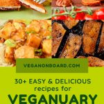 "30+ Easy and Delicious recipes for Veganuary"