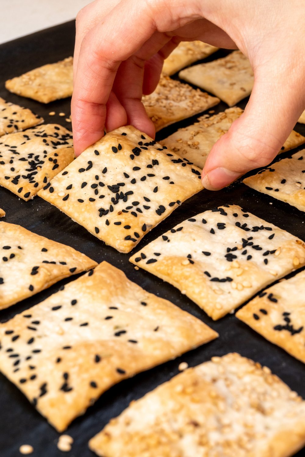 Easy Vegan Crackers Vegan on Board