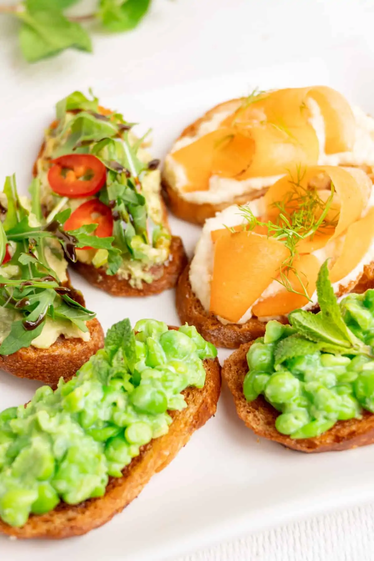 Crostini with various toppings served as appetizer on a white plate.
