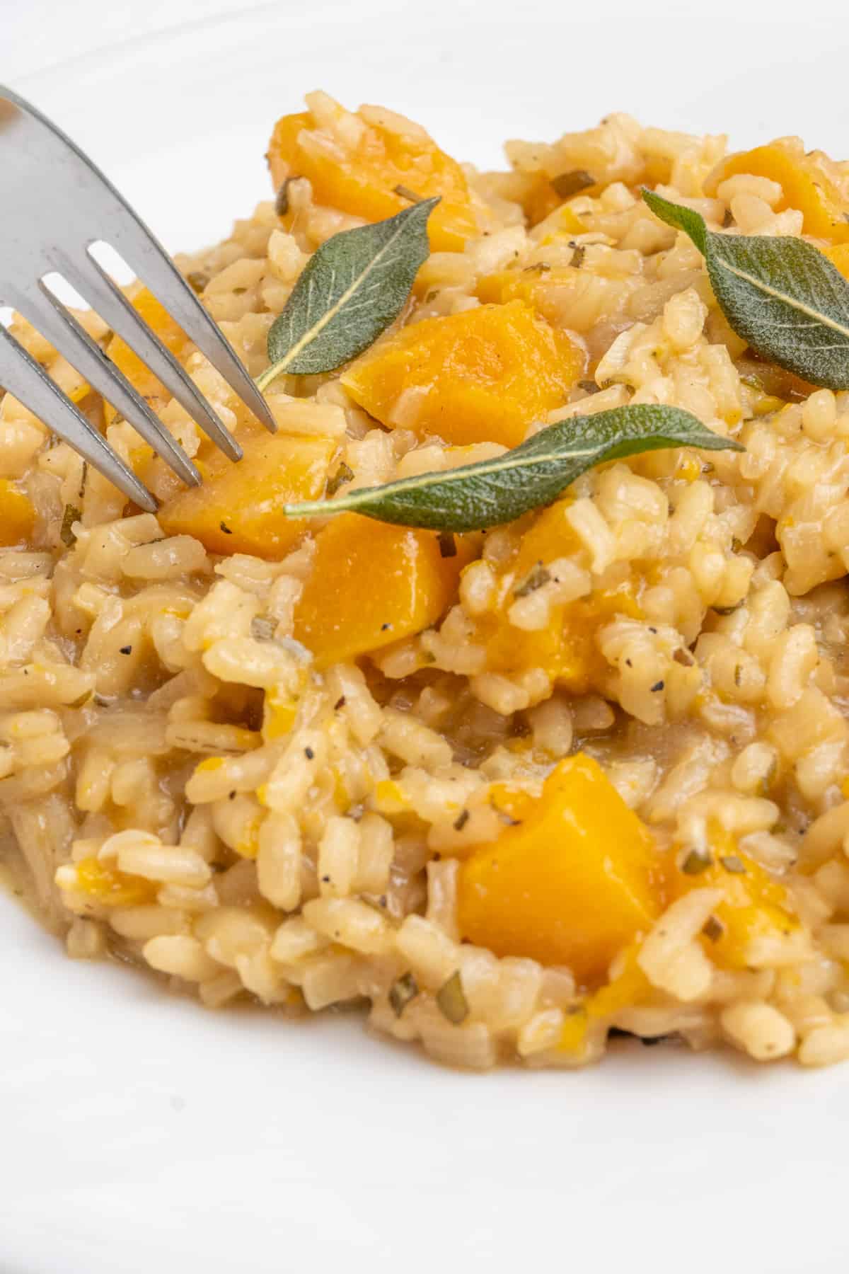 A fork spears a cube of butternut squash from the plate of risotto.