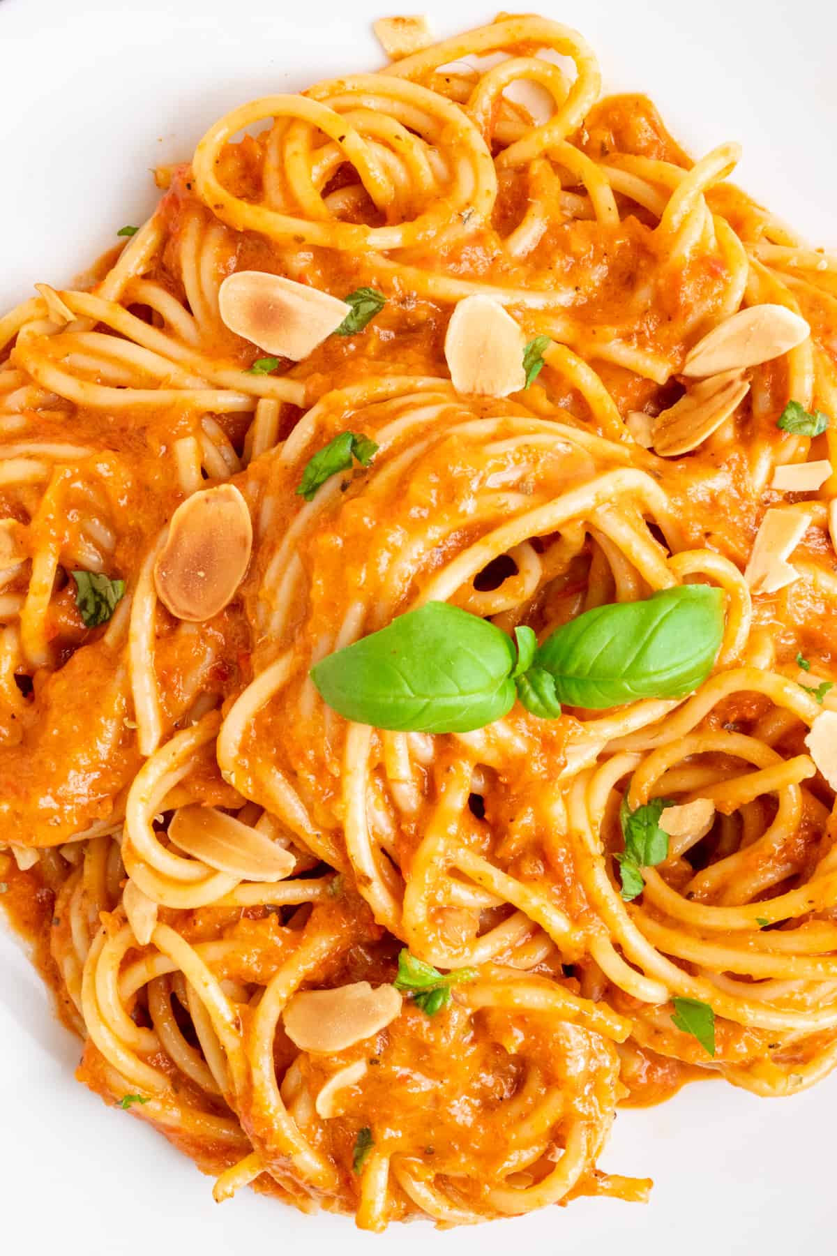 Pasta coated in a thick, dark orange sauce and topped with toasted almonds and fresh basil.