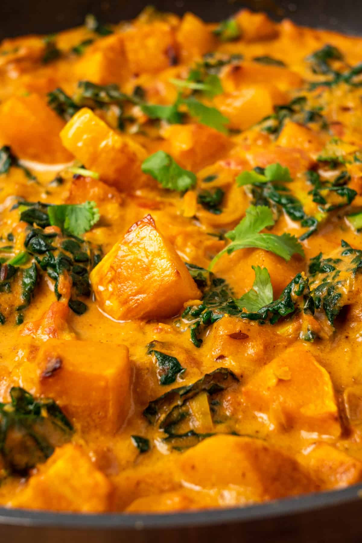 Cubes of roasted butternut squash and dark green kale in a thick orange coloured curry sauce.