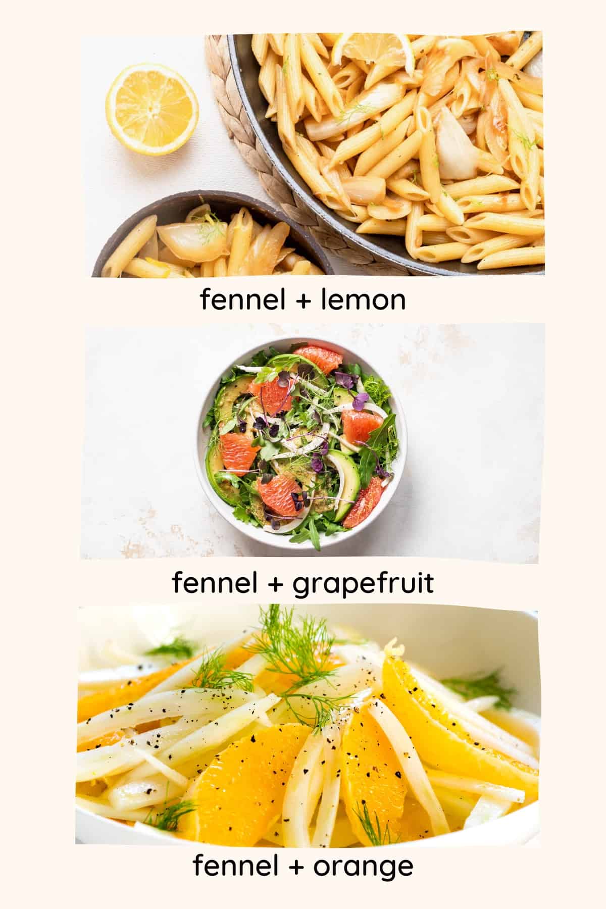 Fennel and citrus pairing collage - 3 fennel dishes with lemon, grapefruit and orange.
