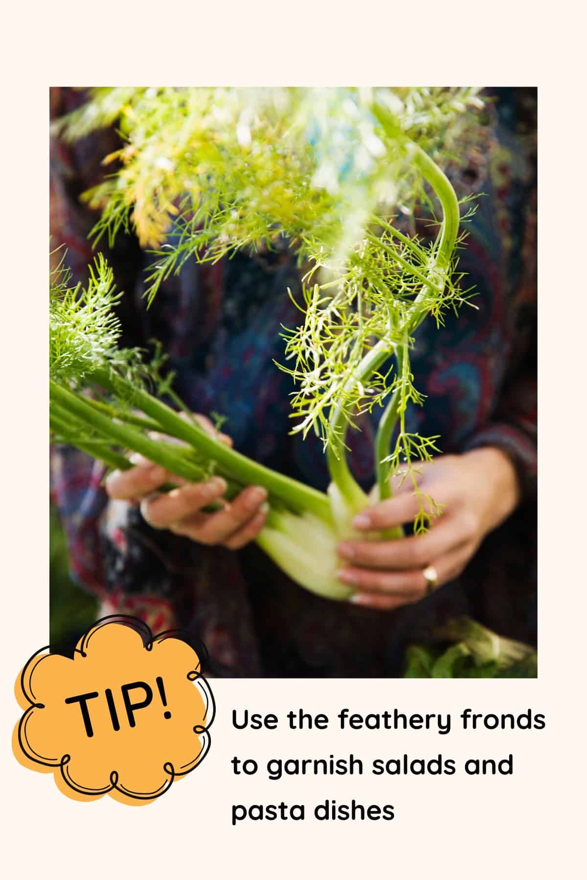 Tip: Use the feathery fennel fronds to garnish salads and pasta dishes.