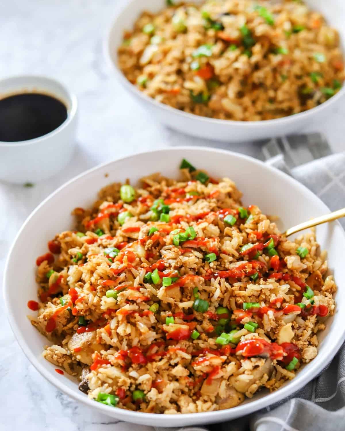 A bowl of fried tofu rice.