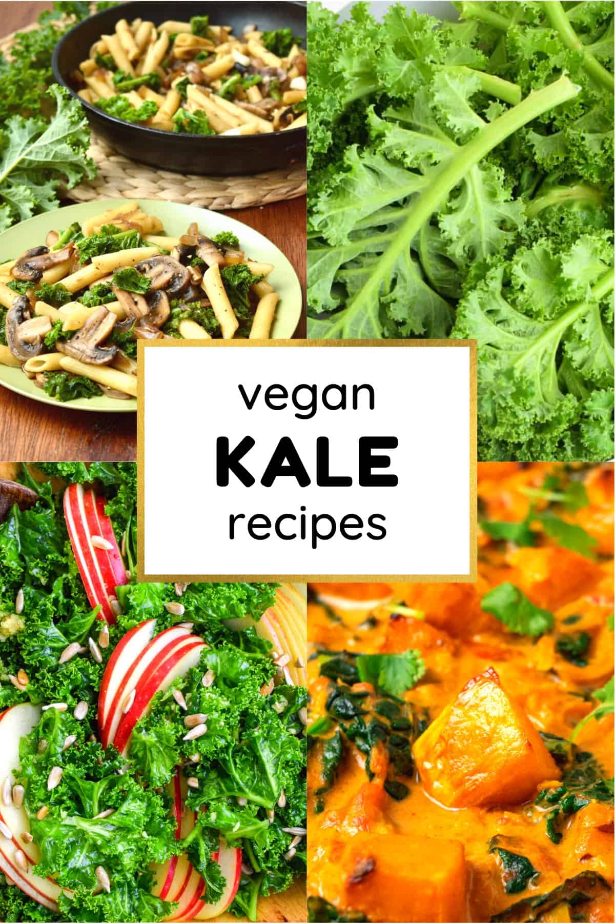 A Collage of Vegan Kale Recipes - Pasta, Salad, Curry and Fresh Kale Leaves.