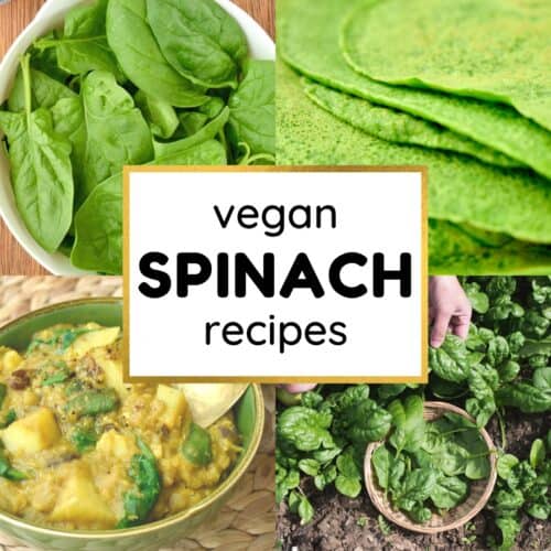 A Collage of Vegan Spinach Recipes - Pancakes, Dahl, and Fresh Spinach Leaves.