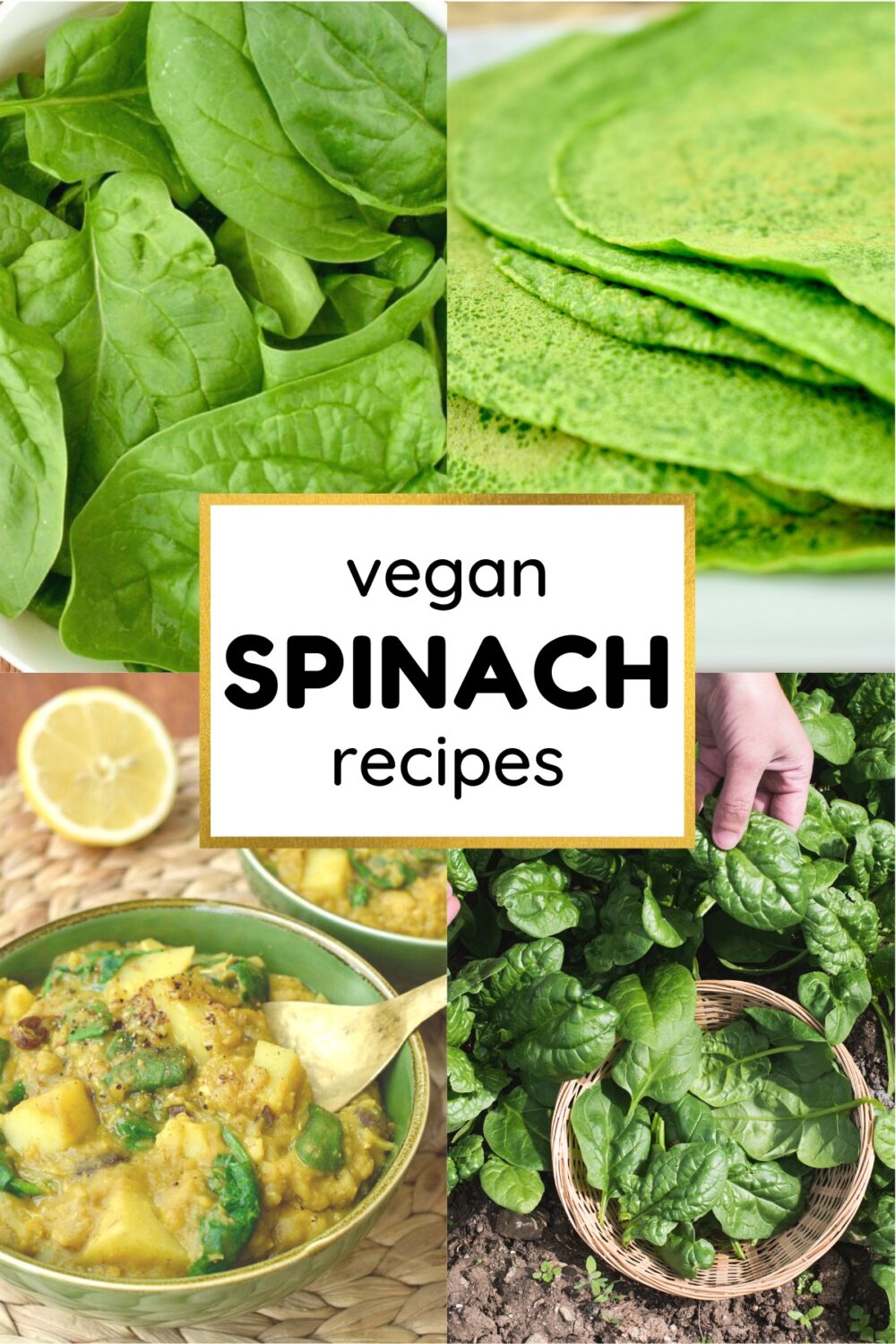 A Collage of Vegan Spinach Recipes - Pancakes, Dahl, and Fresh Spinach Leaves.