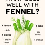 What Goes Well With Fennel Infographic - lemon, kale, garlic, brown sugar, vegan sausage, rice, soy sauce, orange and black pepper.