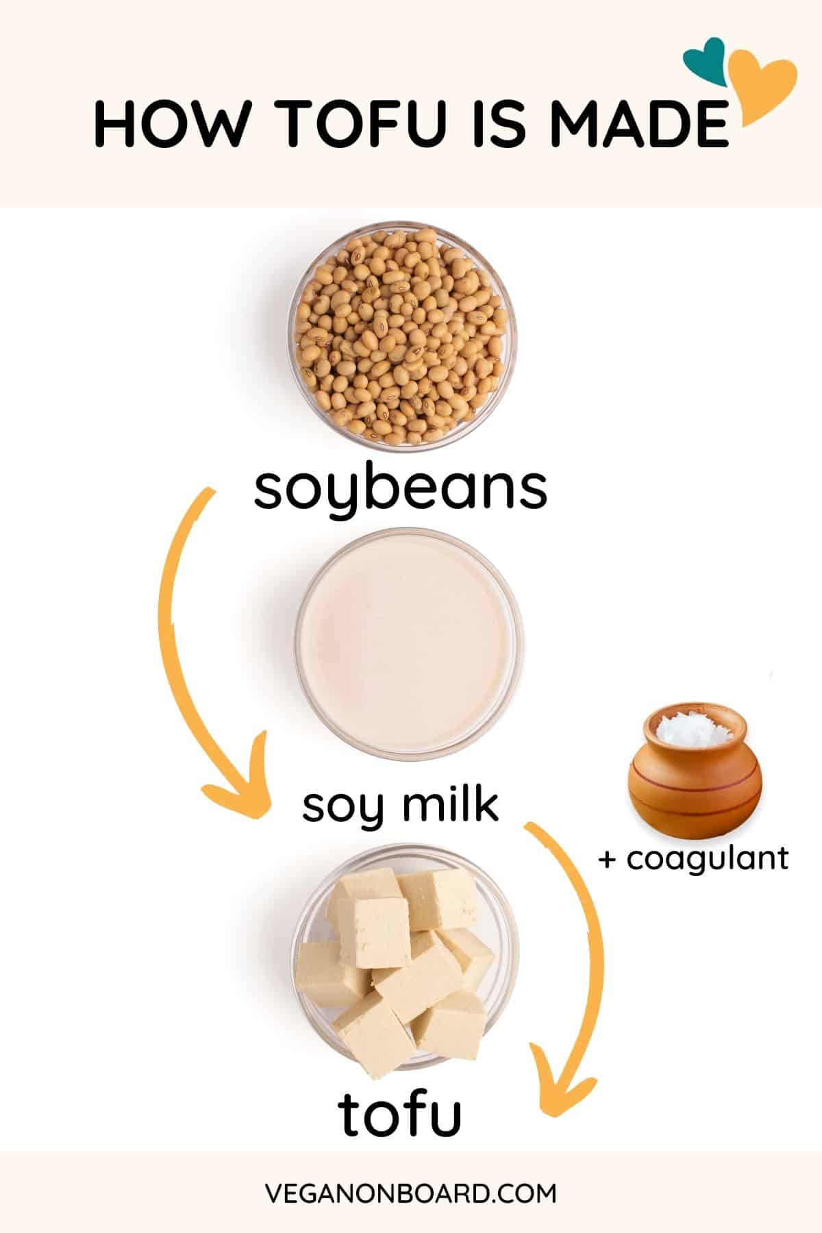 How tofu is made graphic, soybeans > soy milk + coagulant > tofu.