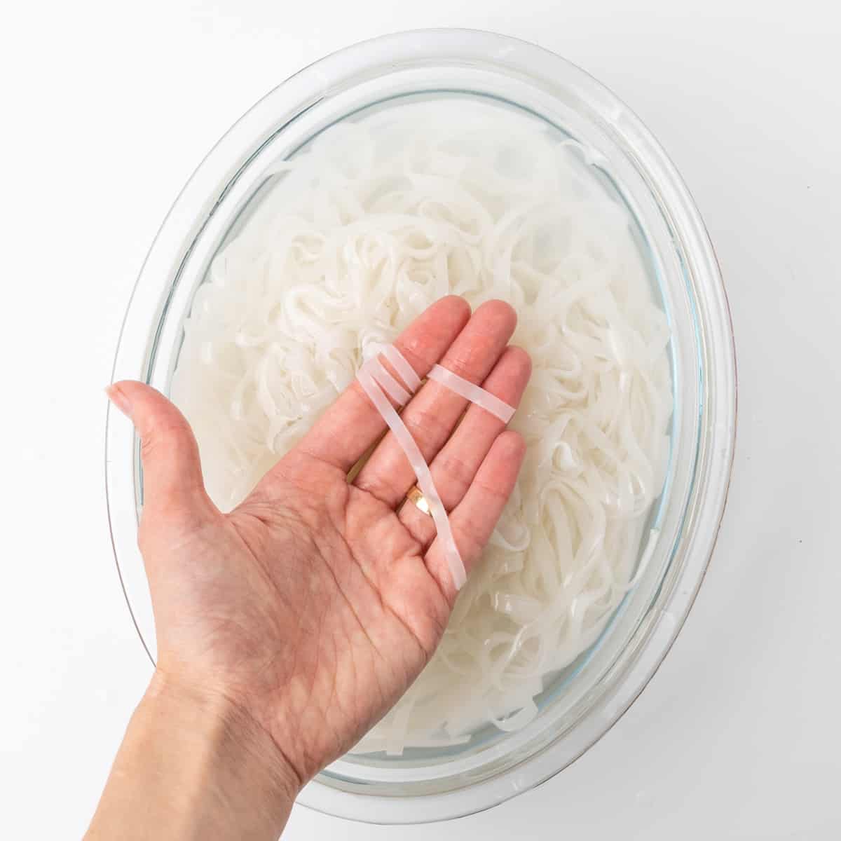 Soaked noodles wrapped around fingers to check they are soft and ready to use.