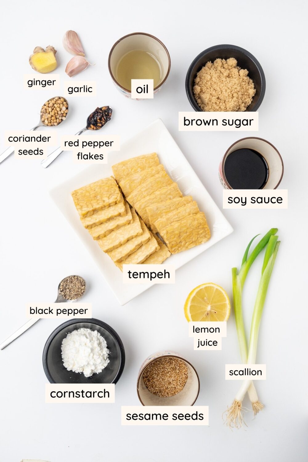 Sticky Tempeh Vegan on Board